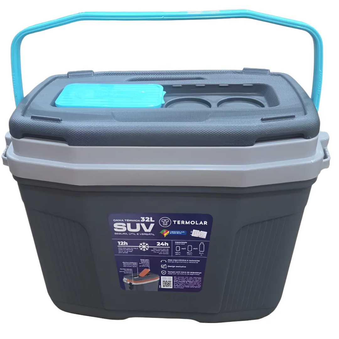 Conservadora Termolar 32 Lts Gris Con Celeste